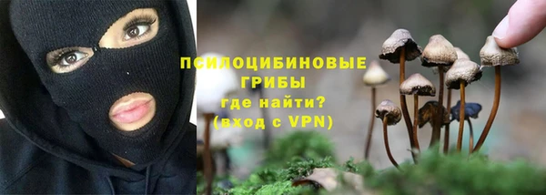 эйфоретик Алексин